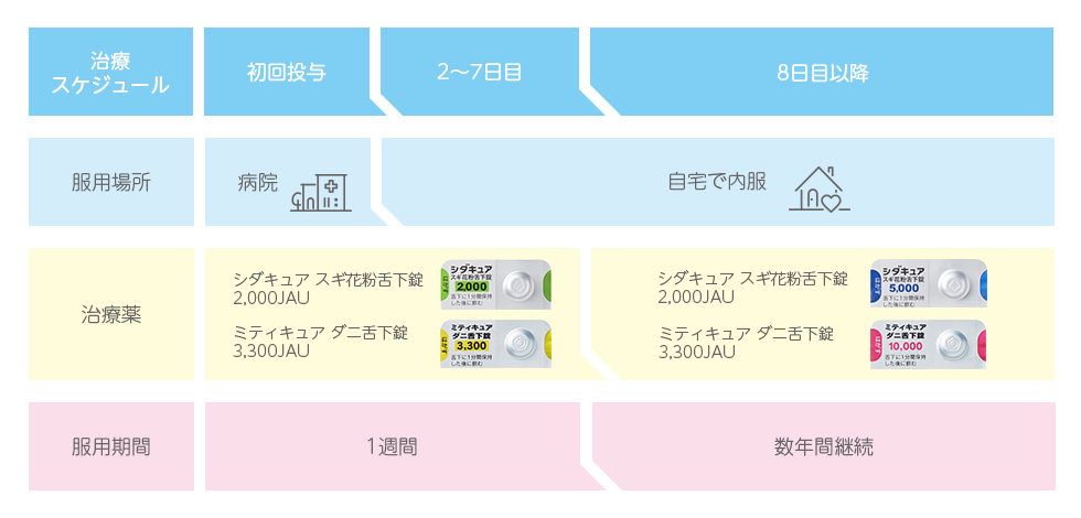 舌下免疫療法治療スケジュール